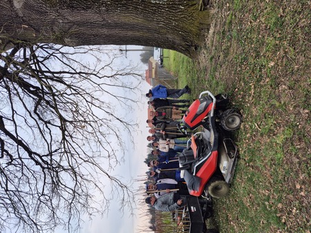 Sajenje medovitih rastlin 2